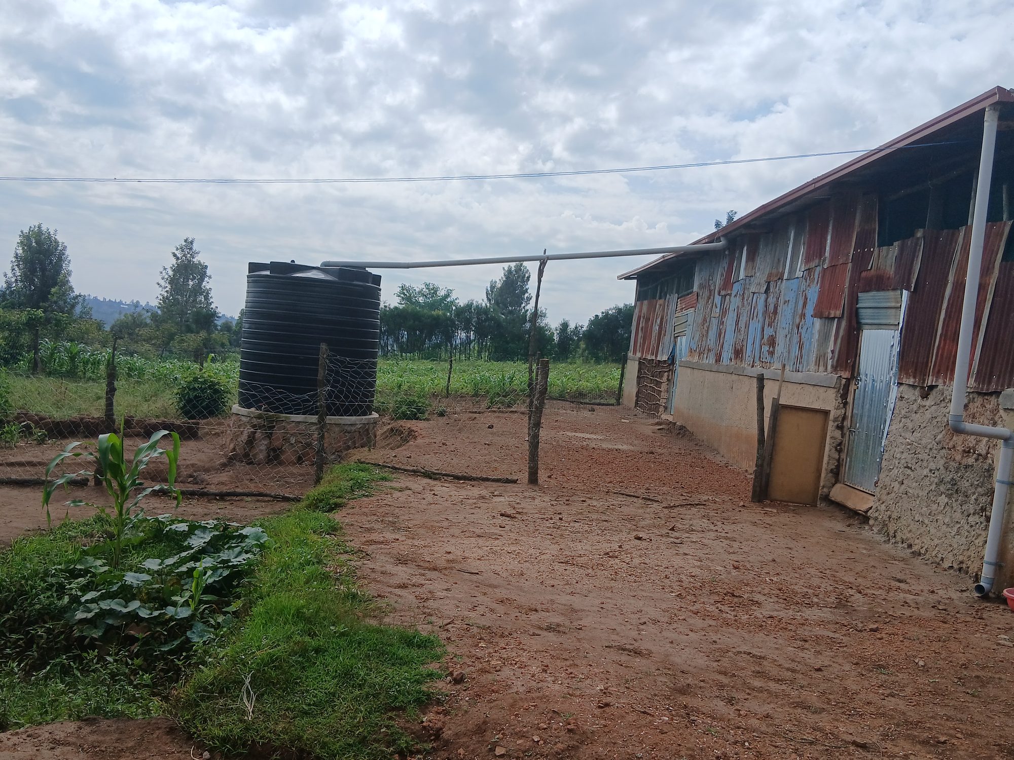 A TechPlus Trust decentralized hatching station in rural Rwanda