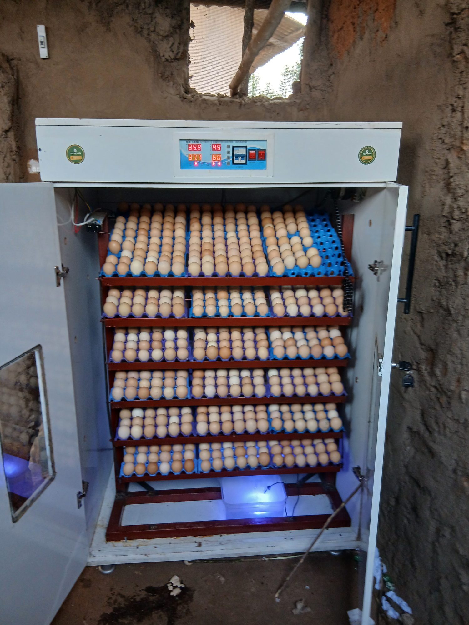 TechPlus Trust V7 solar-powered egg incubator